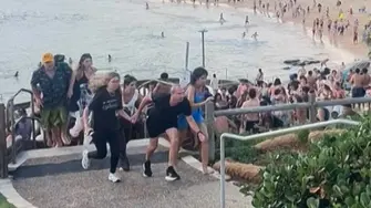 بونڈائی حملہ آور ساجد اکرم دراصل حیدرآباد کا ہے:بھارتی پولیس