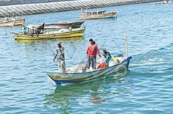 بلوچستان کے ساحلوں پر سمندری پانی سبز ہوگیا، آئیے جانتے ہیں کہ ماہرین کیا کہتے ہیں؟