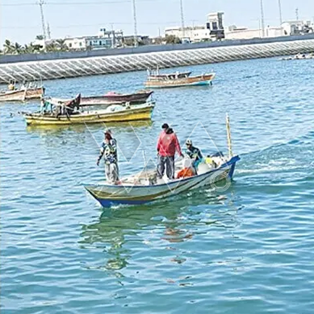 بلوچستان کے ساحلوں پر سمندری پانی سبز ہوگیا، آئیے جانتے ہیں کہ ماہرین کیا کہتے ہیں؟